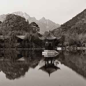 云南野生菌云南丽江的黑龙池背景