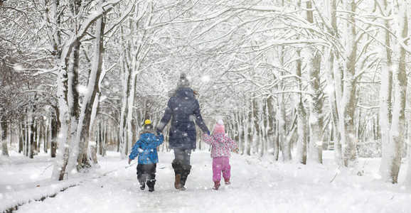 雪下的冬季公园城市公园的暴风雪在积雪覆盖下与全家人一图片