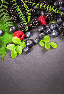 蓝莓黑莓和草莓绿色叶子是灰图片
