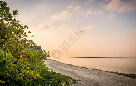 马尔代夫沙滩的清晨图片