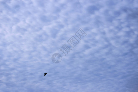 浪花云层覆盖天空的大表面还有一只鸟乌鸦它的背景