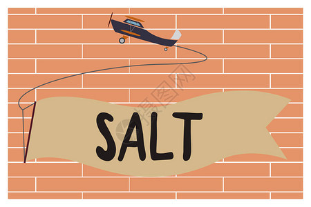 手写文字书写盐概念含义用于调味和保存食物的图片