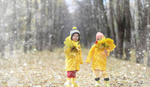 蹒跚学步的孩子们在秋天的公园里散步秋林初霜雪孩子们在公园背景图片