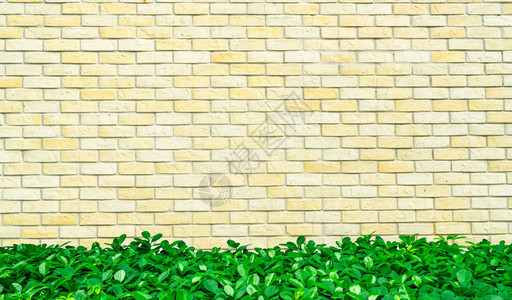 黄白相间的粗砖墙空框图片