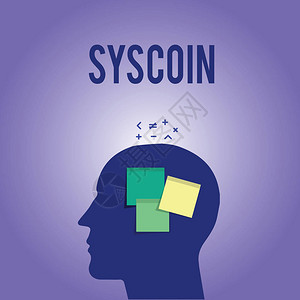 SyscoinCrypto货币组合数字货币的商机概念图片