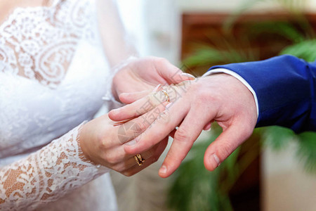 结婚戒指的手小鸟把戒指戴在图片