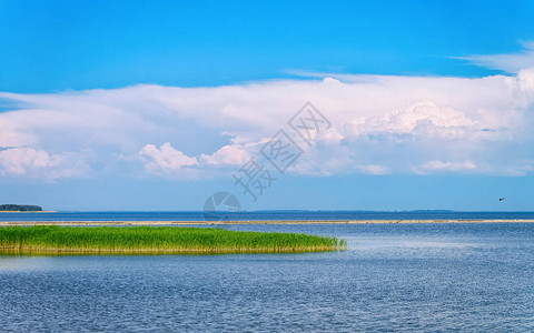 Neringa的Klaipeda附近尼达度假胜地位于立陶宛波罗的海库图片