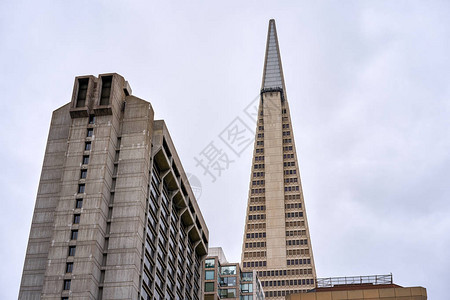 美国旧金山Transamerica市图片