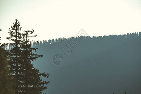在斯洛伐克塔特拉山脉的山顶和森林上升图片