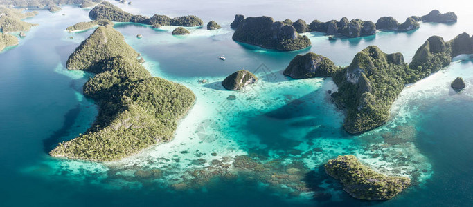 壮观的石灰岩岛屿从印度尼西亚四王群岛美丽的海景中升起这个偏远地区因其丰富的海洋生物多样而被称为珊图片