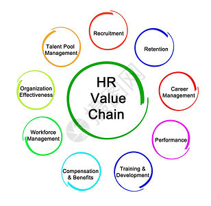 人力资源分析价值链图片