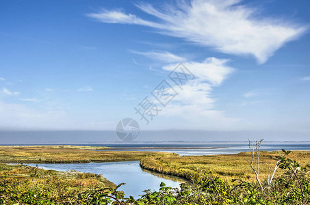 荷兰戈里岛KwadeHoek自然保护区上空原本是蓝色的天空图片