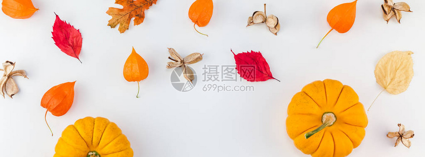 红棕褐色南瓜花留下背景复制空间框架秋天收成感谢万圣节周年邀请卡宽的横幅labelcom高清图片下载-正版图片505530841-摄图网