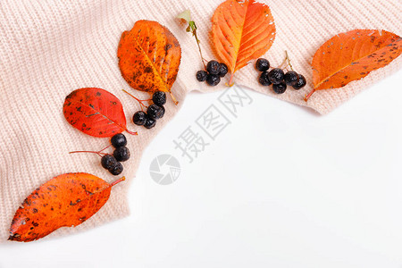 秋季作文女式柔和的米色粉红色毛衣干枯的秋叶和白色背景的野樱莓秋季概念秋季购物折扣概念平躺顶视图片