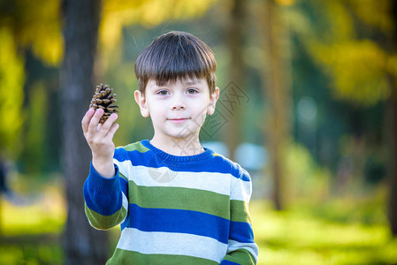 白陶德勒男孩在松树林里玩松果和松果子在草地上玩花环作图片