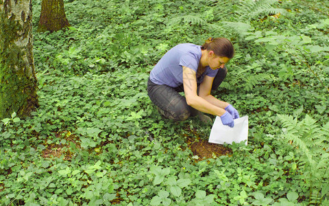 女科学家环保主义者采集草皮样本并将图片