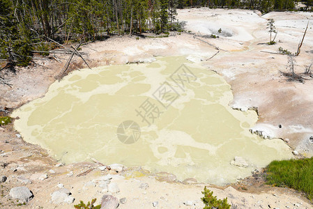 黄石公园的硫磺大锅位于公园埋火山最活跃的地区之一的边缘图片