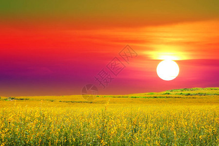 山谷日落和彩色天空的图片
