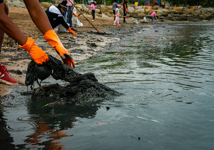 志愿者戴着橙色橡胶手套在海滩上收集垃圾海滩环境污染志愿者清理沙地清理海滩上的垃圾海滩上的油渍石图片