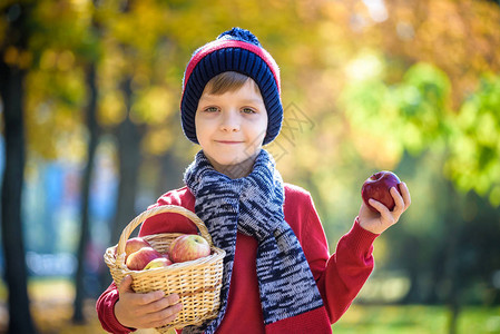 孩子在秋天摘苹果小男孩在苹果树园玩耍孩子们在篮子里采摘水果蹒跚学步的孩子在秋季收获时吃水果孩子们的户外乐趣图片