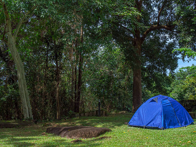 在森林树下的绿草地上露营蓝色帐篷图片