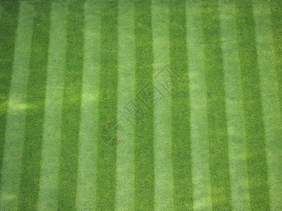 绿草地在游戏场上使用作为背背景图片