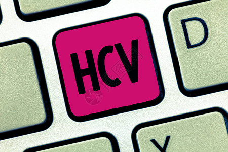 文本符号显示Hcv概念光照感染物剂图片