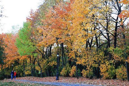 秋天的欢乐颜色秋日的清图片