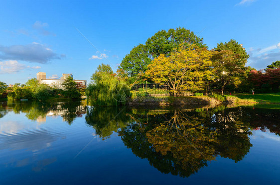 日本北海道札幌市中岛公园的秋天图片