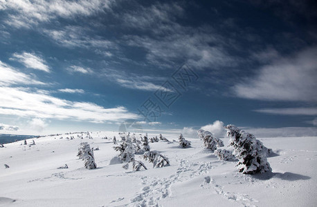 山上寒冬雪的冬天背景山上有覆图片