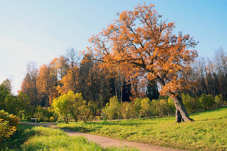 Pavlovsk公园斯拉维扬卡河图片