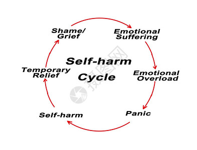 自伤循环的组成部分图片