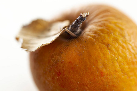 秋天起皱纹的苹果的细节图片