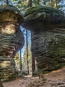 在波兰桌山公园的蘑菇岩旅游小道上发现的许多独特的图片