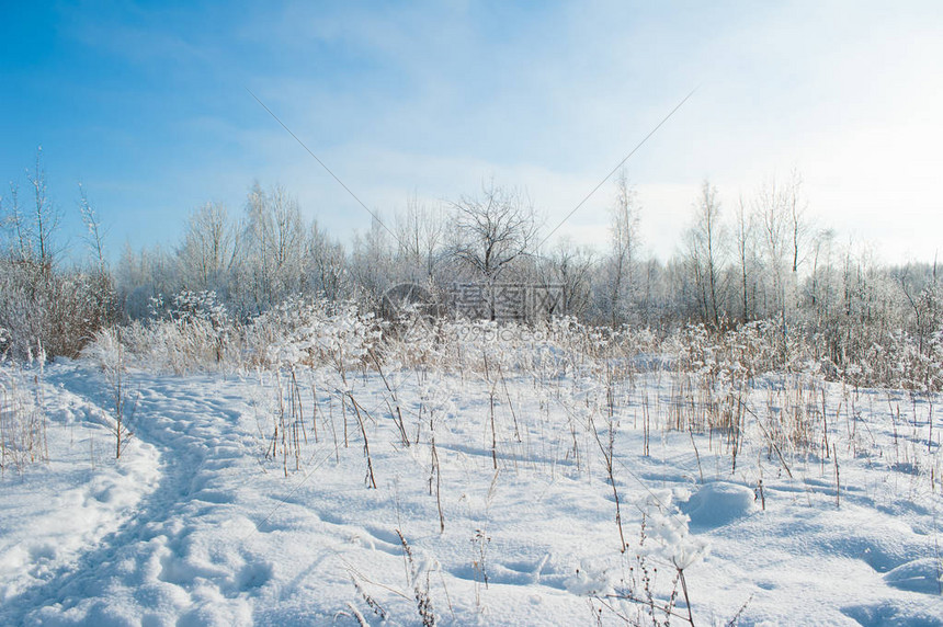 雪树田野的冬雪高清图片下载-正版图片505562133-摄图网