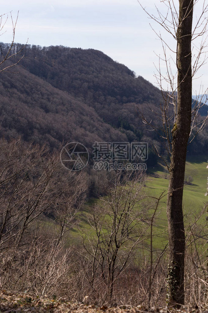 东部春日的南德山地在阳图片