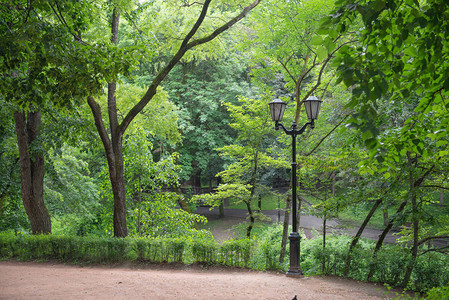 雨后的森林公园有灯柱和湿路背景图片