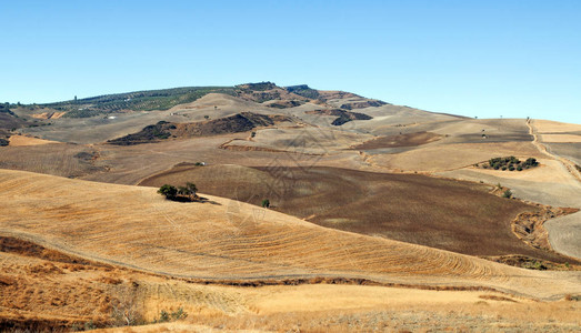 有山的安达卢西亚旱田图片