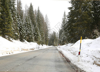 穿越森林的冰河道路有很多图片