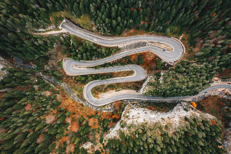 在森林中间的风景路图片