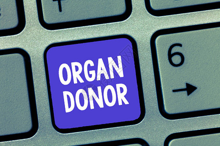 书写文字器官捐赠者展示的生意概念谁提供器官从身体移植掌上图片