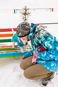 JackRussellTerrier在冬季公园玩图片