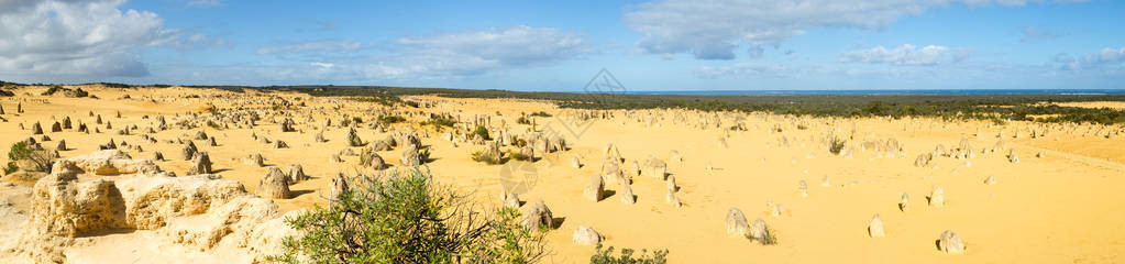 西澳大利亚州塞万提斯镇附近南邦公园内的石灰岩形成层图片