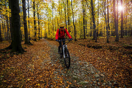 山地自行车女人骑自行车在秋天的山林景观骑自行车MTB流径的女人图片
