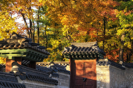 韩国首尔秋季落叶期间拍摄的昌庆宫图片