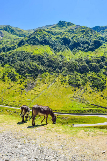 位于罗马尼亚的Transfagaras山图片