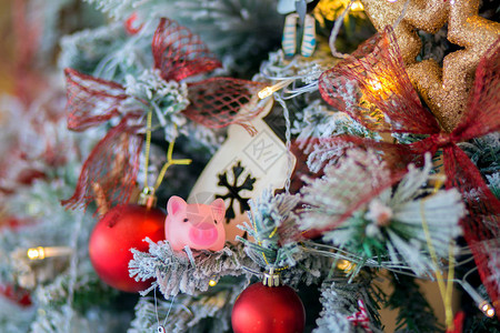 小粉红玩具猪坐在圣诞树上图片
