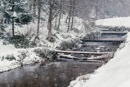 在下雪天与池塘的冬季景观森林自然覆盖着雪冬天下雪的天气白雪皑的树木图片