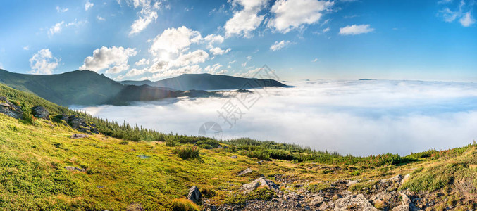 云中绿色山峰的全景日落时雾中的图片