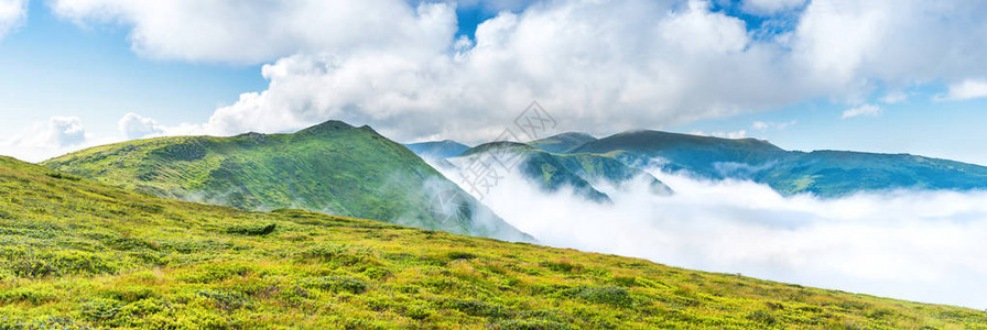 云中绿色山峰的全景日落时雾中的图片